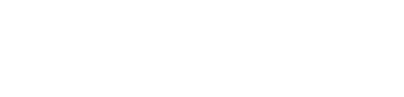 The Eagle View Technology  Text